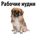 😁