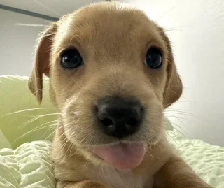 😛