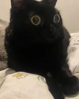 😳