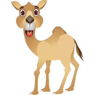 🐪