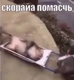 🚨