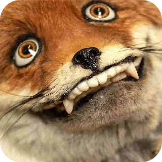 🤪