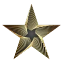 🌟