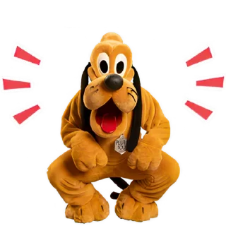 🐶