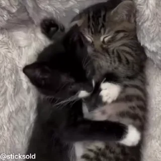 🤗