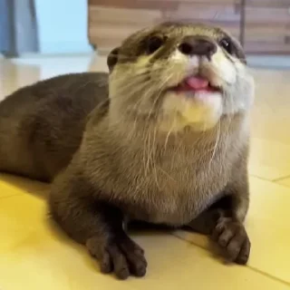 😛