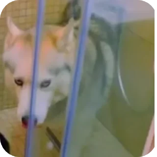 👍