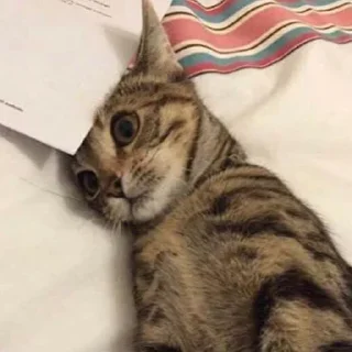 🙂