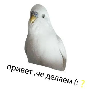 😉