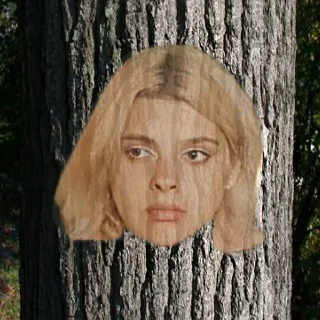 🌳