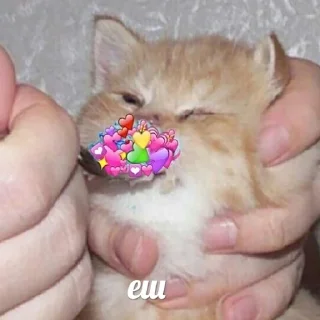 😘