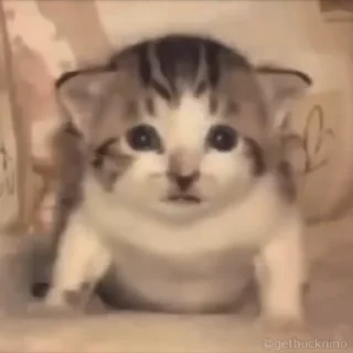🤯