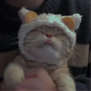 💗