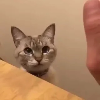 🤝