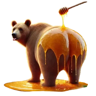 🐻
