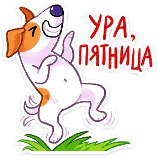 💃