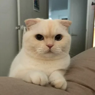 🙂