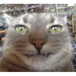 😬