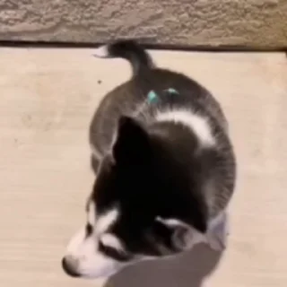 🥹