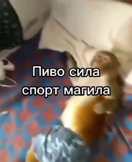 🌟