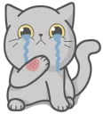 😭