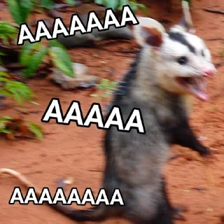 🗣