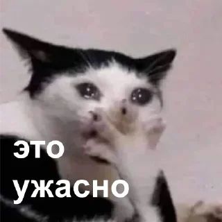 😐