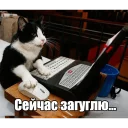 💻