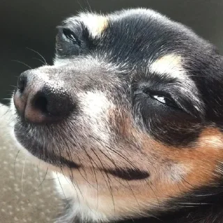 😏