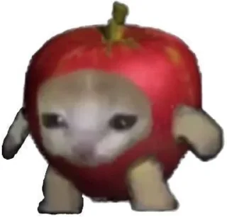 🥺