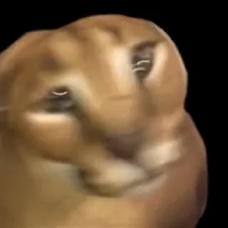 🤪