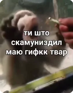 😨