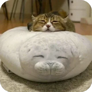 ❄