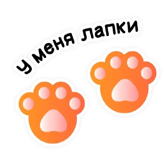 🐈
