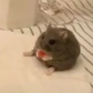 😕
