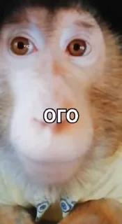 😮