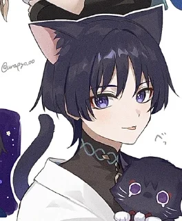 🐱