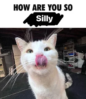 😛