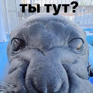 👀