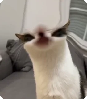 😧