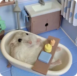 🛁