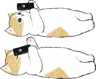 📱