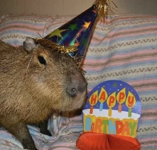 🥳