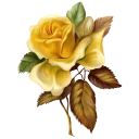🌼