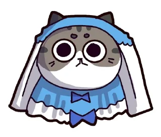 🐈