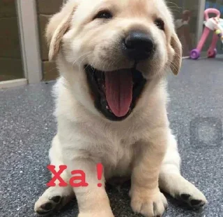 😄