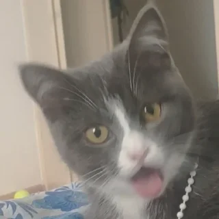 🥵