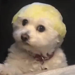 😭