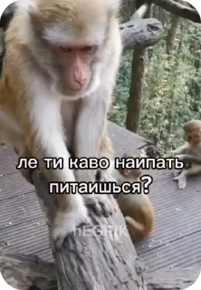 🌟