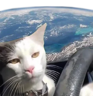🌍